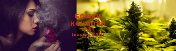 бошки Елабуга
