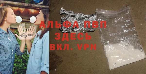 стафф Заволжск