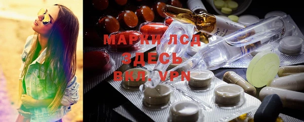 бошки Елабуга