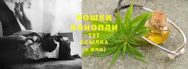 бошки Елабуга