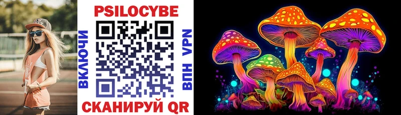 Купить  Урай  Галлюциногенные грибы Psilocybine cubensis 